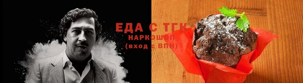спиды Тайга