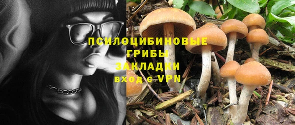a pvp Сясьстрой