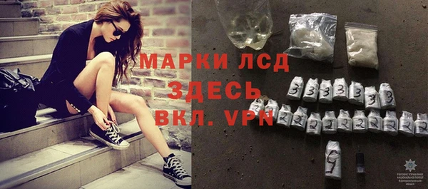 спиды Тайга