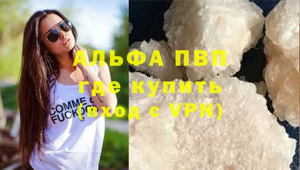 спиды Тайга