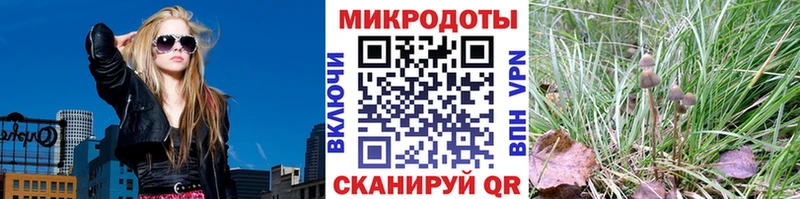 где можно купить наркотик  Шимановск  Галлюциногенные грибы ЛСД 
